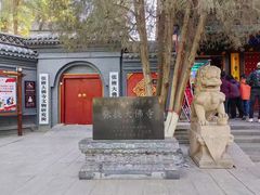 -张掖大佛寺景区