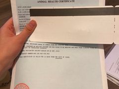 -北京观赏动物医院·24小时大型综合·猫专科·异宠专科