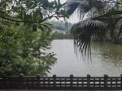 -三水森林公园