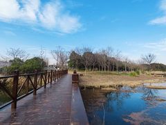 -贡湖湾湿地公园