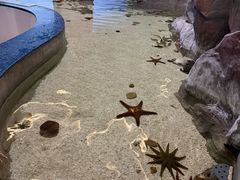 -福州罗源湾海洋世界旅游区