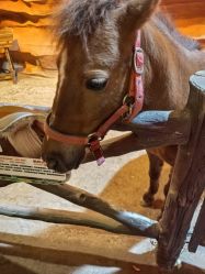 -酷嗒动物文化乐园(cutezoo西溪乐天城店)