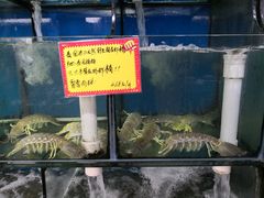 -蚝专家(北滘店)