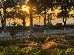 -宝安西湾红树林湿地公园