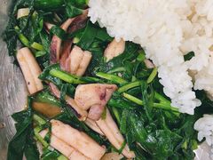 韭菜鱿鱼-北京大学-燕南食堂