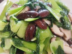 -金卯白肉罩火烧