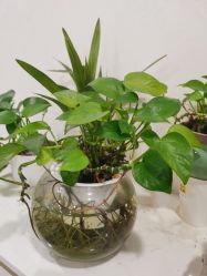 -深圳春天阳光医院·轮廓抗衰中心