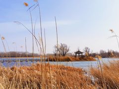 -野鸭湖国家湿地公园