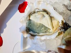 -Oyster Talks 四度蚝法餐厅