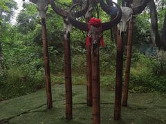 -善卷洞风景区
