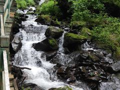 -凤凰山国家森林公园