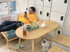 -李小姐の猫咖啡馆(五角场店)