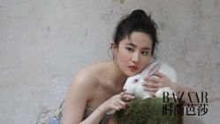 -东田造型