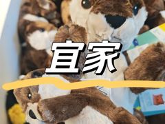 -宜家家居(哈尔滨商场店)