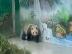 -柳州市动物园