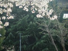 -郑州植物园