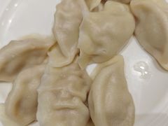 酸菜鲜肉饺子-饺子季水饺餐厅(新市街店)