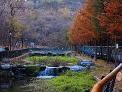 -白水寺森林公园