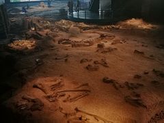 -自贡恐龙博物馆