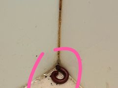 -惠州金海湾嘉华度假酒店