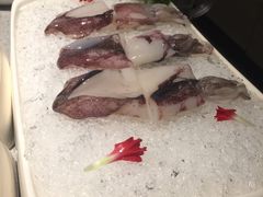 -海底捞火锅(航洋城店)