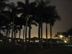 -华侨公园