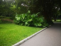 -晓港公园