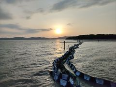 -上海市保健医疗中心