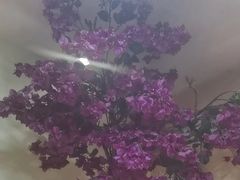 -聚味瞿记·龙虾堂(望城店)
