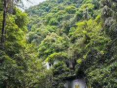 -鼎湖山风景区
