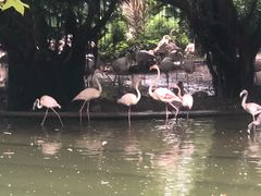 -九龙公园