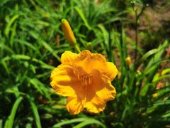 -永定河休闲森林公园