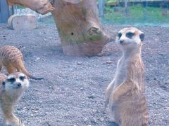 -水上乐园·欢乐世界