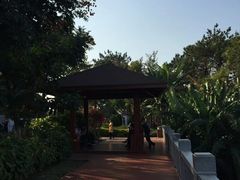 -仙岳公园