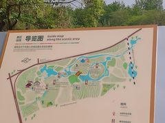 -桤木河湿地公园