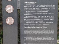 -小洲村