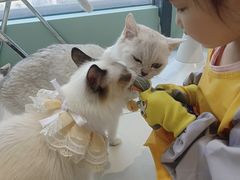 -怪兽屋·羊驼·猫咖·狗咖(俊华广场店)