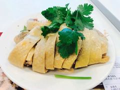 白斩鸡-振鼎鸡(华阴路店)