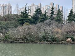 -苏州河梦清园环保主题公园