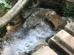 -牛鱼嘴原始生态风景区