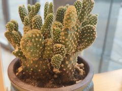 -天友生活(恒大中渝广场店)