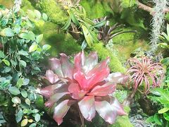 -绿色星球动物主题公园