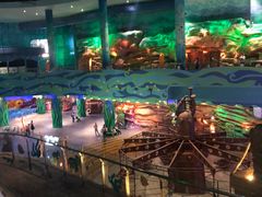 -青岛嘉年华主题乐园