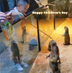 -酷嗒动物文化乐园(cutezoo西溪乐天城店)