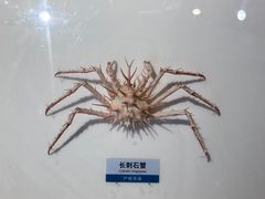 -浙江自然博物院(杭州馆)
