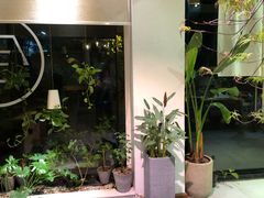 -柴务处·柴犬主题狗咖