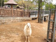 -石家庄市动物园