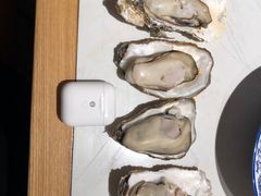 -杨氏青龙虾·羊蝎子(托乐嘉店)