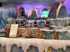 -帝企鹅自助餐厅•儿童岛•真企鹅(长隆企鹅酒店)