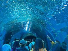 -波塞冬旅游度假区